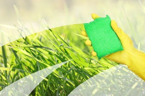 Professional sofa cleaning service for homes in W12