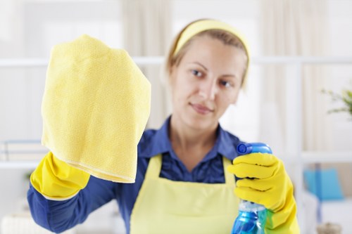 Deep cleaning of bathroom surfaces in a W12 property