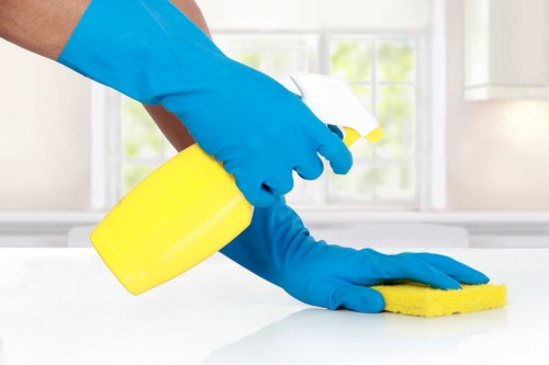 Local cleaner working in a W12 flat with access considerations