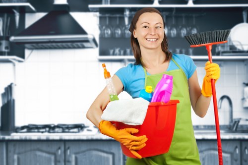 Regular domestic cleaning for a modern flat in the W12 area