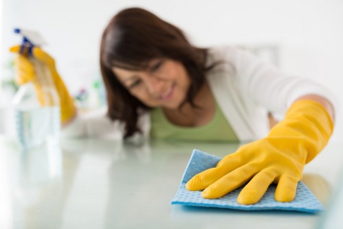 Cleaning oven racks and interior surfaces in a West London kitchen