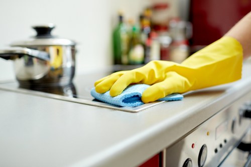 Professional cleaning for homes and businesses in W12
